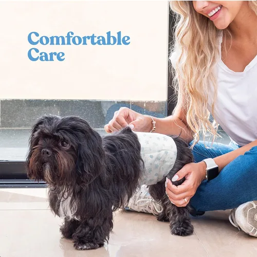 Miniatura 3 de Pañales cómodos para perros machos, paquete de 50 envolturas desechables súper absorbentes para perros machos, tecnología FlashDry Gel con indicador