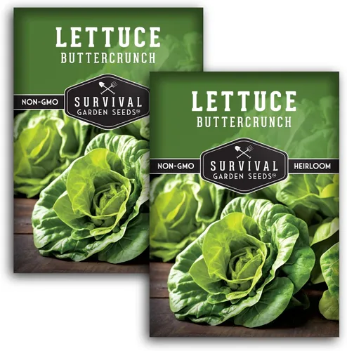 Miniatura 10 de Buttercrunch Semillas de lechuga para plantar, semillas de lechuga de mantequilla Bibb crujiente para jardines, tolerantes al calor, variedad