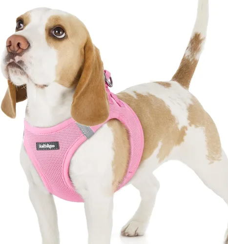 Miniatura 152 de rabbitgoo Arnés para perro pequeño, chaleco de malla suave para cachorros con hebilla de seguridad, arnés reflectante transpirable para mascotas