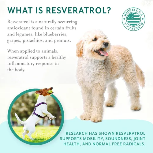 Miniatura 4 de Suplemento de apoyo para cadera y articulaciones para perros, masticables suaves con resveratrol, glucosamina, condroitina, ácido hialurónico, sabor