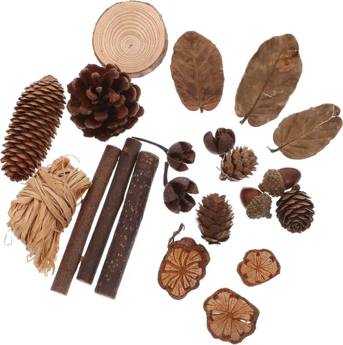 LUOEM Natural Forest - Juego de manualidades para manualidades, conos de pino rústico, hojas secas, adornos para cabina de fotos, decoración del