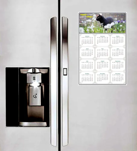 Miniatura 4 de Calendario magnético 2025 – Imanes del calendario – Today is my Lucky Day – Resistente a la decoloración, desgarros y agua – Temática de gato 05