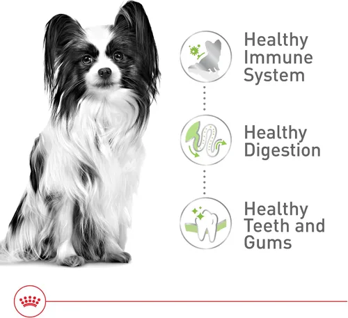Miniatura 5 de ROYAL CANIN SIZE HEALTH NUTRITION X-SMALL comida seca para perros adultos