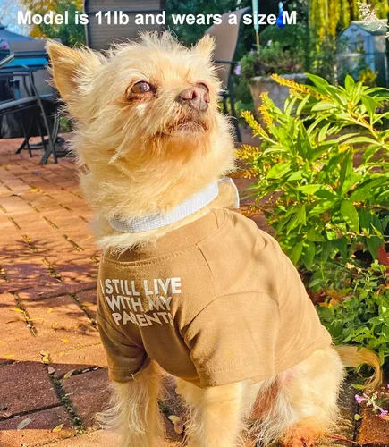 Miniatura 4 de Linda ropa para perros, camiseta para perros medianos y pequeños, hembra y macho, cachorro. Disfraz suave y transpirable para mascotas, perros