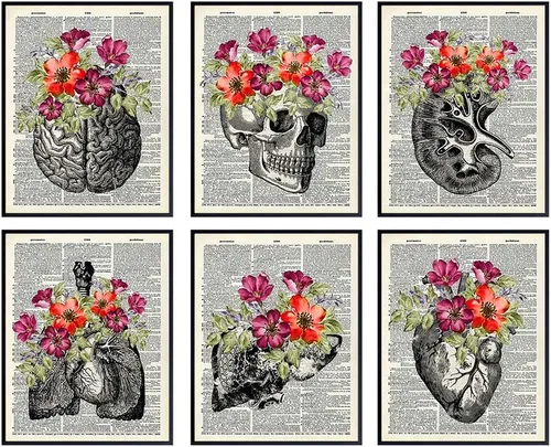 Decoración artística de pared de corazón, cráneo, cerebro, pulmones, riñón, hígado, decoración de habitación de anatomía humana, decoración de