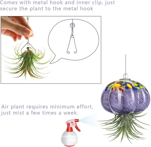 Miniatura 3 de H&D HYALINE & DORA Terrario de cristal soplado a mano colgante con diseño de medusa de aire para plantas de aire, decoración para jardín, porche