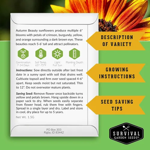 Miniatura 2 de Survival Garden Seeds - Semilla de girasol de Autumn Beauty para plantar - Paquete con instrucciones para plantar y cultivar flores hermosas