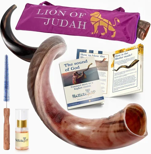 Miniatura 8 de HalleluYAH Shofar Kosher original de cuerno Kudu medio pulido de Israel