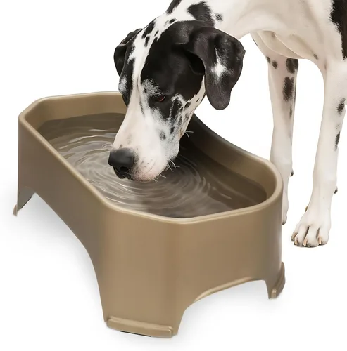 Miniatura 10 de Neater Pet Brands Cuencos para gatos de gran capacidad, cuenco de agua para gatos, reptiles, pollos, aves y animales pequeños, cuenco de comida