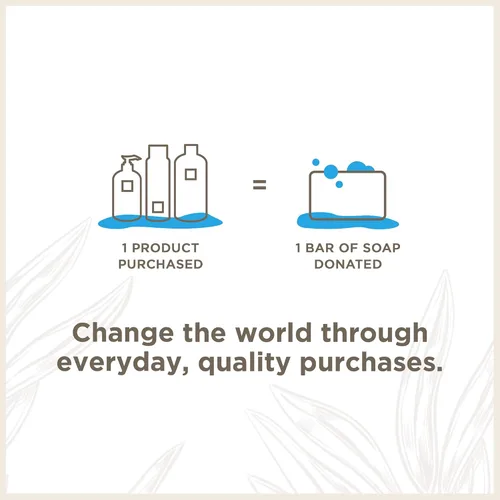 Miniatura 6 de Soapbox Champú de coco y karité, deja el cabello suave, brillante e hidratado - Ingredientes limpios libres de productos químicos agresivos, Aceite