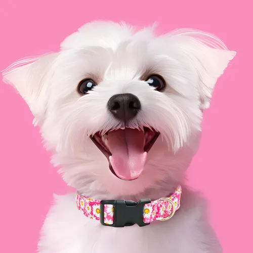 Miniatura 4 de Tunkoo Pink Daisy - Collar para perro, lindo collar ajustable de algodón de alta calidad, hebilla de plástico duradero para niños pequeños, medianos