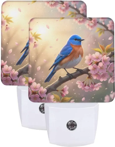 Miniatura 22 de Futterya Luz nocturna LED personalizada enchufable, juego personalizado de 2 lámparas de decoración con sensor automático del atardecer al amanecer