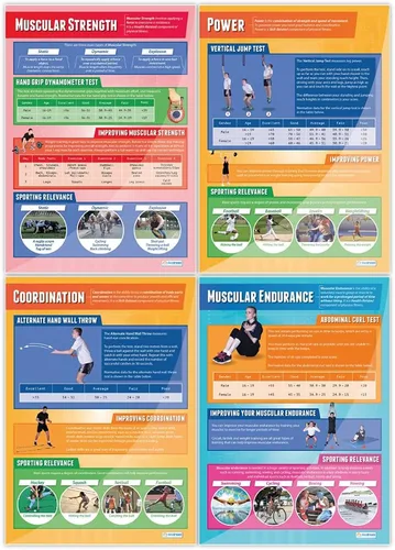 Miniatura 4 de Daydream Education Componentes de los pósteres de fitness físico, juego de 12, extra grandes, 33 x 23.5 pulgadas, papel brillante, decoración