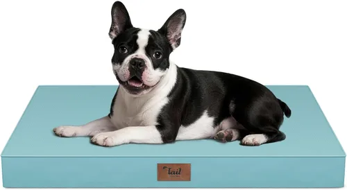 Miniatura 75 de Cama ortopédica de felpa para perros y cachorros medianos, camas impermeables para perros de 30 x 20 pulgadas con funda extraíble lavable, tapete
