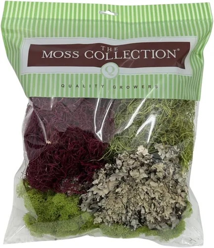 Miniatura 5 de Quality Growers - Paquete variado de la colección Moss - Musgo decorativo natural - Manualidades, decoración del hogar, proyectos de arte, diseño