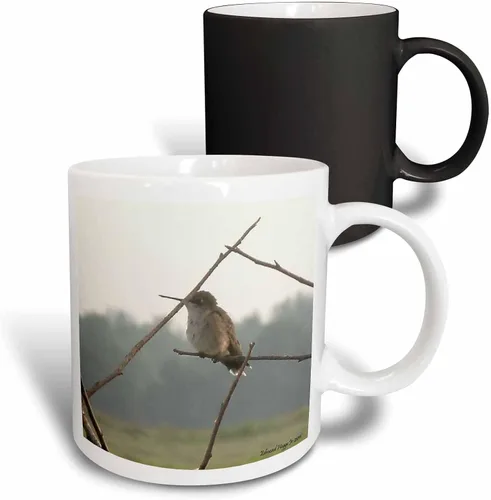 Miniatura 10 de 3dRose Female Hummingbird 11oz Two-Tone Black Mug