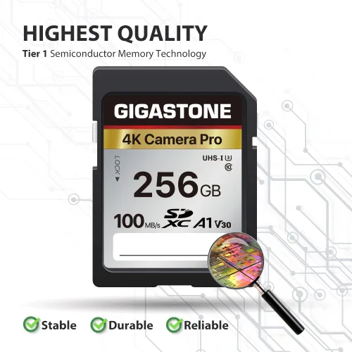 Miniatura 2 de Recuperación de datos de 5 años: tarjeta SD GIGASTONE de 256 GB, cámara 4K Pro, tarjeta de memoria A1 V30 SDXC 4K UHD Video compatible con cámara