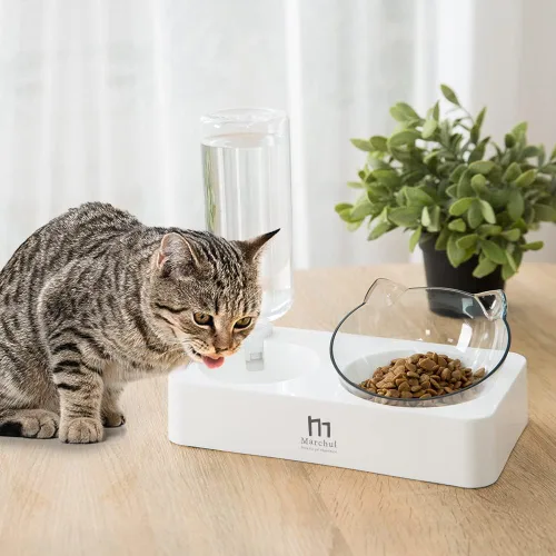 Miniatura 2 de Marchul Cuenco doble elevado para perros y gatos, juego de cuencos de agua y comida para mascotas, platos inclinados elevados en 15° para interiores