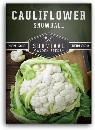 Semillas de coliflor para plantar, variedad blanca reliquia de bola de nieve, cultivo de temporada corta resistente al frío para jardines de