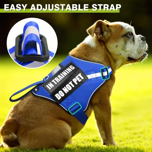 Miniatura 3 de Juego de arnés y correa para perro de servicio, chaleco de entrenamiento para perros con 10 parches para perros, arnés y chaleco para perros de Azul