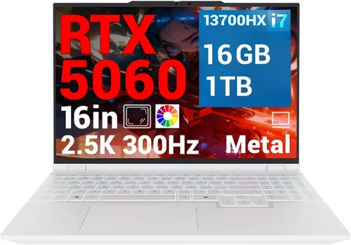Computadora Portátil para Juegos【300Hz/5060/i7/1TB/Dual RAM】 2560x1600 16:10 WQXGA | GPU RTX 5060 | CPU Intel Core i7-13700HX | RGB Retroiluminado |