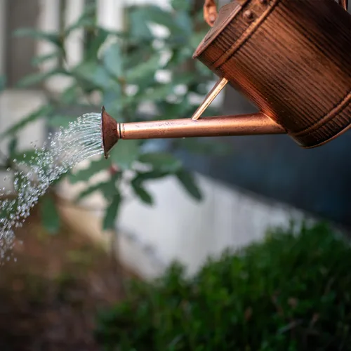 Miniatura 5 de Regadera de 1 galón, regadera de cobre, lata de agua de metal con boquilla extraíble, lata de agua perfecta para plantas en interiores y exteriores