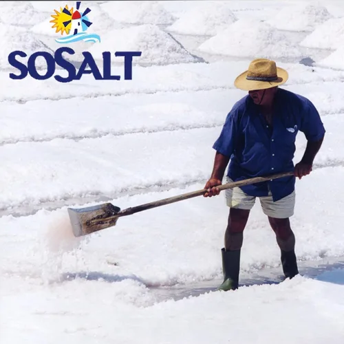 Miniatura 9 de SoSalt Dal Mare Di Trapani, Sal marina fina de Sicilia, cubo de servicio de alimentos, (11.0 lbs) 11 libras, todo natural, sal marina mediterránea a