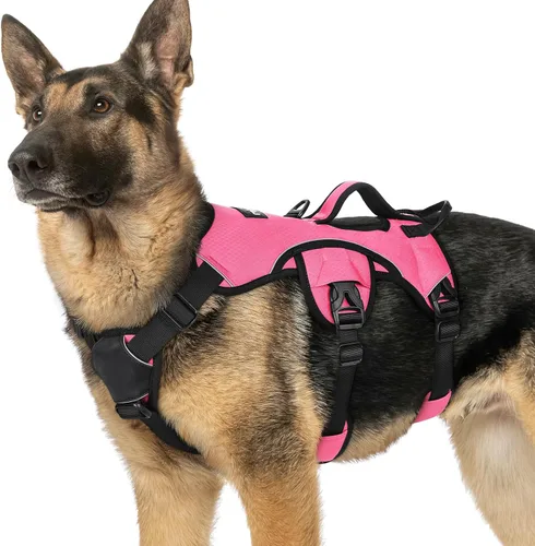 Miniatura 40 de rabbitgoo - Arnés para perro a prueba de fugas, arnés para mascotas acolchado suave de cuerpo completo, chaleco reflectante ajustable sin tirones