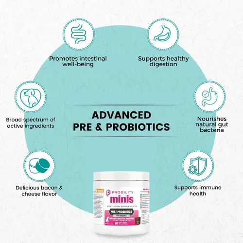 Miniatura 2 de Nootie Progility - Mini suplemento pre y probiótico, suplemento de ayuda digestiva para perros, 60 masticables suaves por envase
