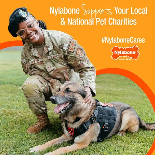 Miniatura 9 de Nylabone Healthy Edibles WILD - Golosinas naturales masticables para perros grandes, de larga duración, para perros saludables, cuernos masticables