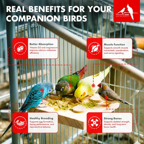 Miniatura 4 de Morning Bird Calcio Plus Polvo para Aves 2 oz – Suplemento de calcio con vitaminas y minerales esenciales – Apoya la salud ósea, la función muscular
