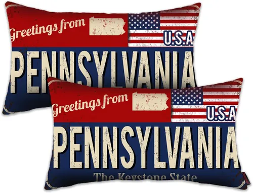 Miniatura 37 de Juego de 2 fundas de almohada de Florida de 12 x 20 pulgadas, decoración de recuerdo de Florida, funda de almohada lumbar con diseño de bandera