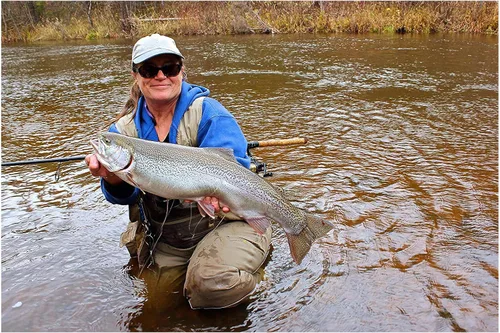 Miniatura 4 de St. Croix Rods Triumph Salmon & Steelhead - Caña giratoria (2 piezas), TRSS