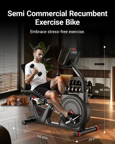Miniatura 6 de HARISON Pro Recumbent Exercise bike with Arm Exerciser for Adult and Seniors, Low-Impact Recumbent Stationary Bike for Knee-Friendly 400LBS