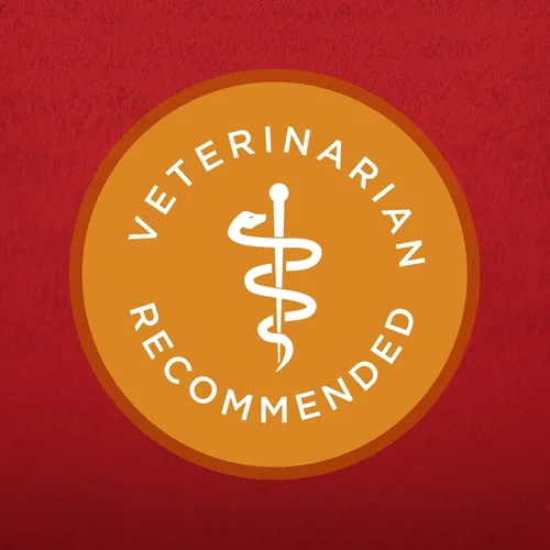Miniatura 17 de Purina ONE SmartBlend - Alimento seco natural para perros adultos