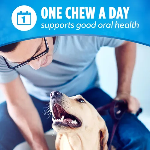 Miniatura 8 de Purina DentaLife - Masticables dentales para perros grandes, hechos en Estados Unidos, para uso diario, bolsa de 18