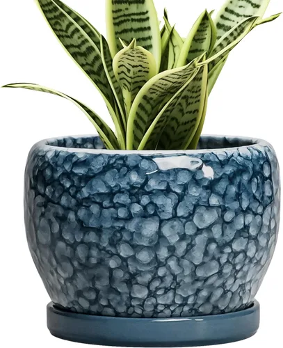 Miniatura 19 de SQOWL Macetas de cerámica – Maceta de 6 pulgadas con orificio de drenaje y bandeja, maceta redonda para plantas de interior, maceta decorativa