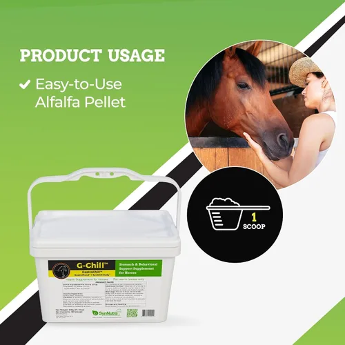 Miniatura 3 de G-Chill Soporte digestivo y composure para caballos – Combinación de GastroMend + SynNutra SynChill – 30 dosis – Apoya la integridad del estómago