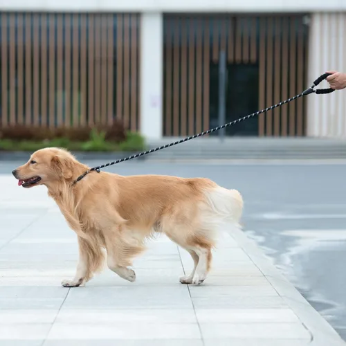 Miniatura 7 de iYoShop Correa Deslizante Duradera para Perro con Mango Acolchado e Hilos Altamente Reflectantes, Correa de Entrenamiento para Perros Sin Tirones