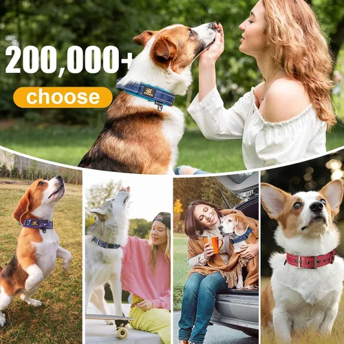 Miniatura 7 de DAGANXI Collar para perro, ajustable, de neopreno suave, acolchado, transpirable, tira reflectante, collar de nailon para perros pequeños, medianos