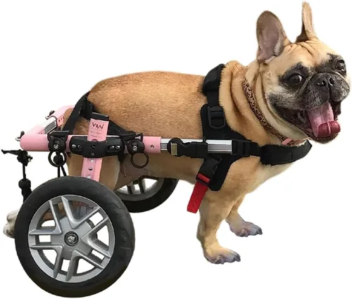 Miniatura 7 de Walkin' Wheels Silla de ruedas para perros pequeños, silla de ruedas ligera para patas traseras, 15-25 libras, para altura de pierna de 9-11 Azul