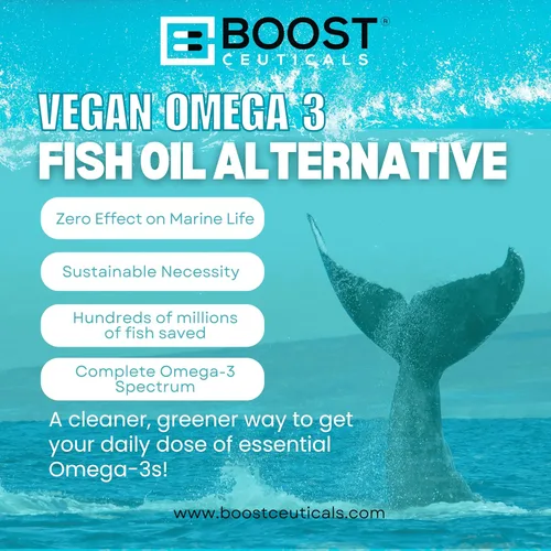 Miniatura 5 de BoostCeuticals Suplemento vegano Omega 3 DHA + EPA de 260 mg – Aceite de algas en cápsulas blandas dosis de mantenimiento para el bienestar