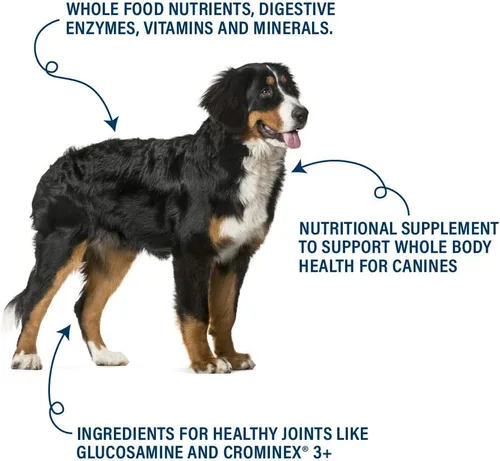 Miniatura 5 de 360 Pet Nutrition Canine Superfood Boost – All Life Stage - Suplemento para comida para perros, apoya la salud articular, digestiva e inmunológica