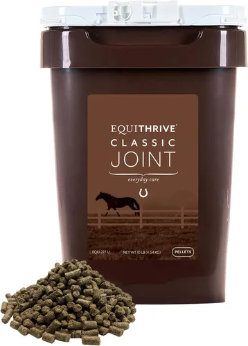 Equithrive Suplemento clásico para articulaciones con glucosamina, condroitina, ácido hialurónico y MSM para caballos y caballos mayores, 10 libras