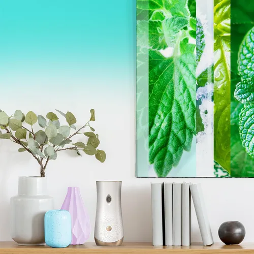 Miniatura 6 de Glade Recambio automático en aerosol, ambientador para el hogar y el baño, Empower Mint, 6.2 onzas