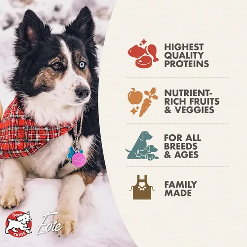 Miniatura 3 de Fromm Four-Star Nutritionals Rancherosa - Comida seca premium para perros - Receta de carne de res - 4 libras