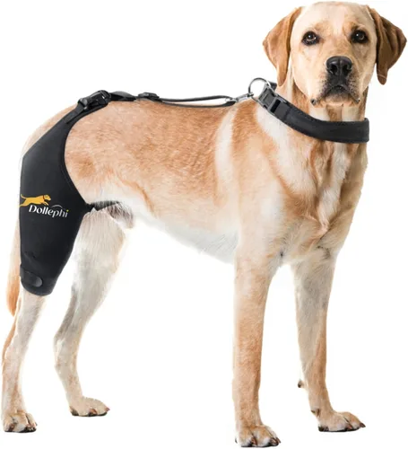 Miniatura 7 de Rodillera para perro para pierna trasera desgarrada del ligamento cruzado anterior, compresión caliente/fría para luxación de rótula u