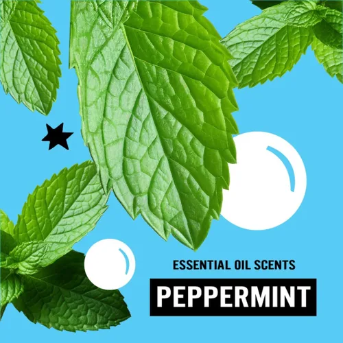 Miniatura 6 de Molly's Suds Cápsulas de detergente para ropa Detergente limpio para pieles sensibles Ultra concentrado y combate las manchas Menta - 60