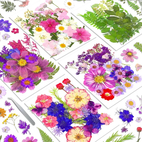 Miniatura 8 de Más de 170 pétalos de hojas de flores secas prensadas para manualidades, hermosas flores prensadas margaritas para joyas de resina, flores Color-a