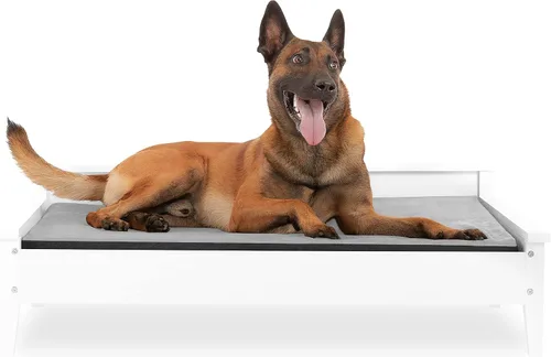 Miniatura 9 de Cama de madera para perro con colchón resistente al agua, cama elevada para mascotas pequeña a mediana con colchón calmante para mascotas